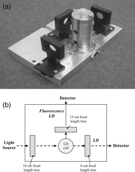 FIGURE 3