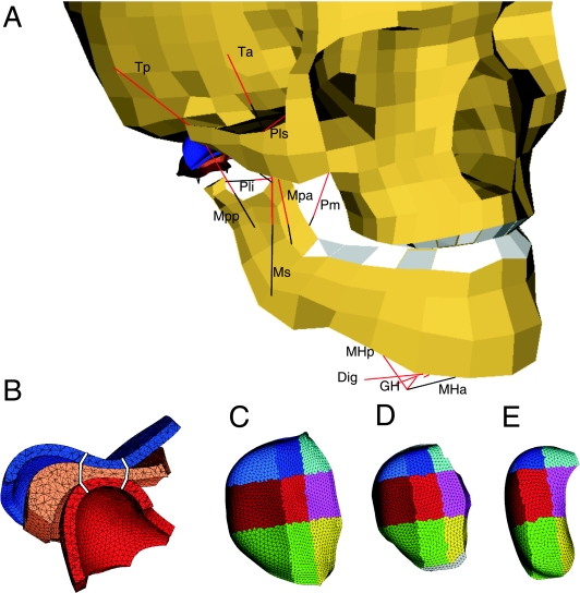 Fig 1