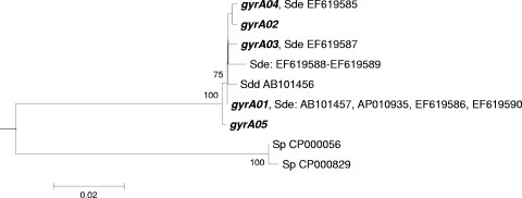 FIG. 2.