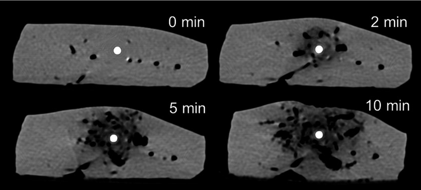 FIG. 4.