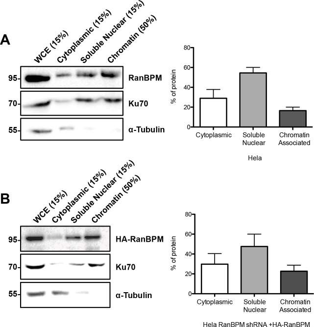 Fig 9