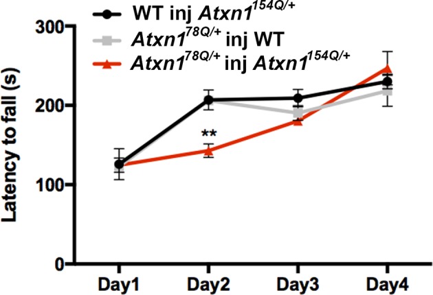 Figure 1—figure supplement 2.