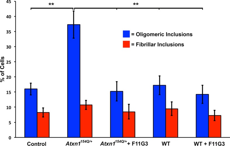 Figure 1—figure supplement 1.