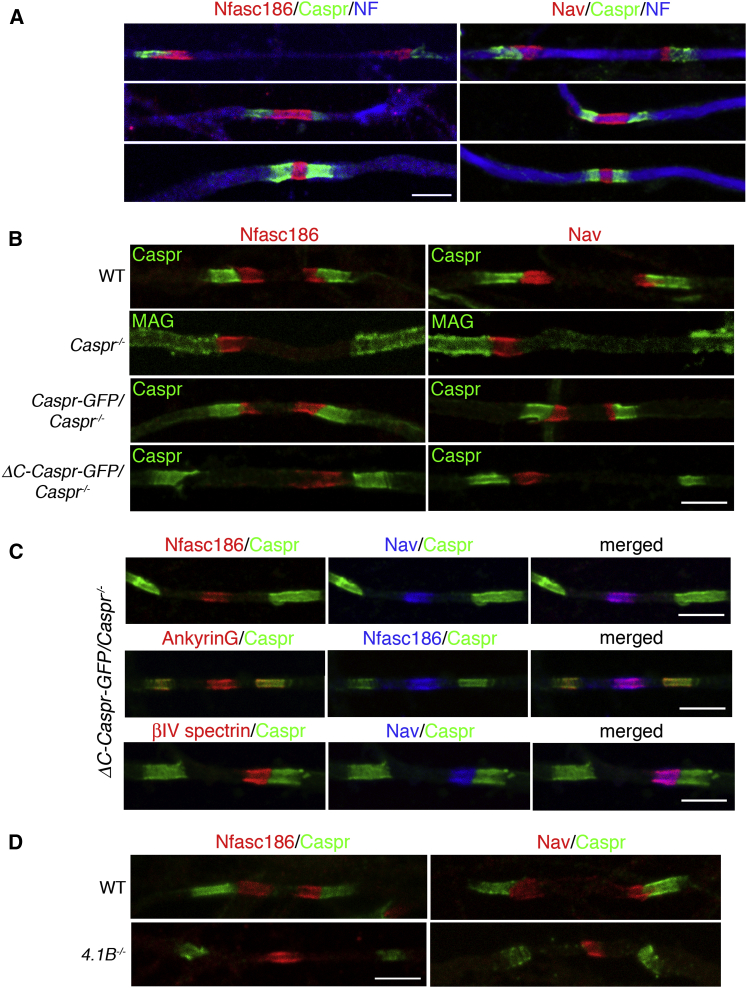 Figure 2