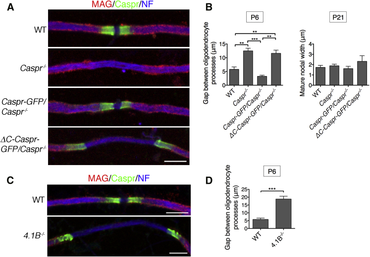 Figure 4