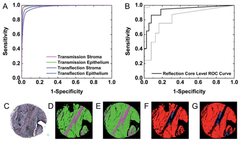 Fig. 11