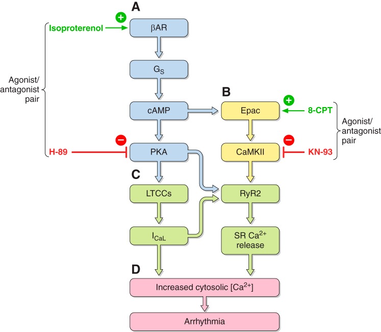 Figure 14.