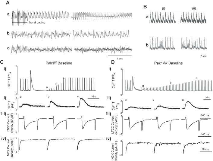 Figure 17.