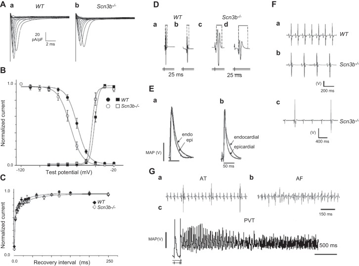 Figure 10.