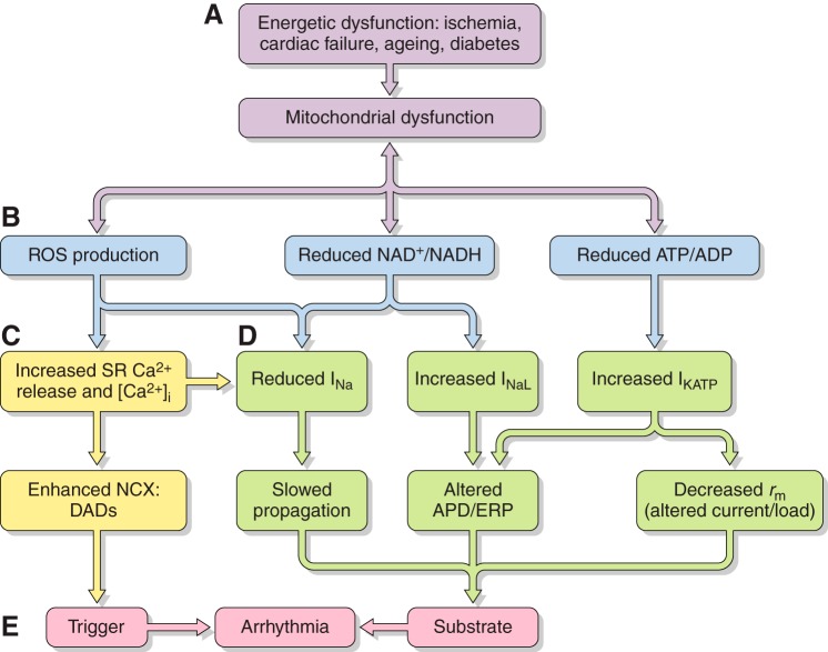 Figure 20.