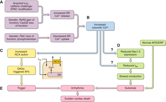 Figure 18.