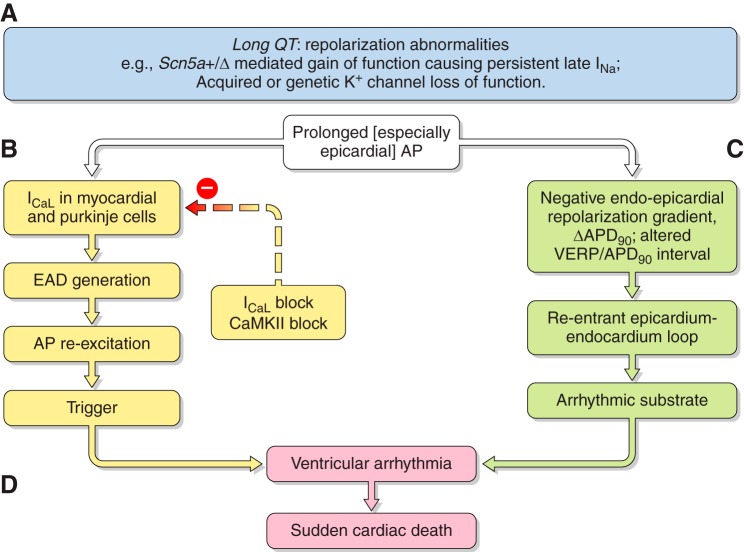 Figure 13.