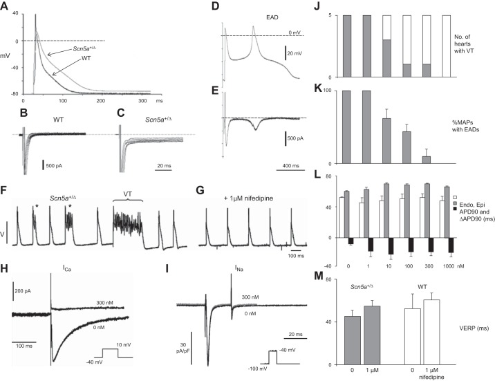 Figure 11.