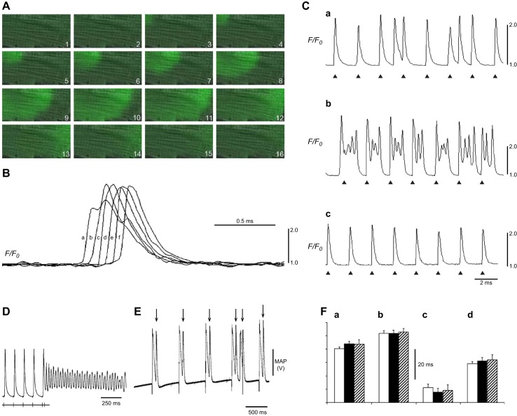 Figure 15.