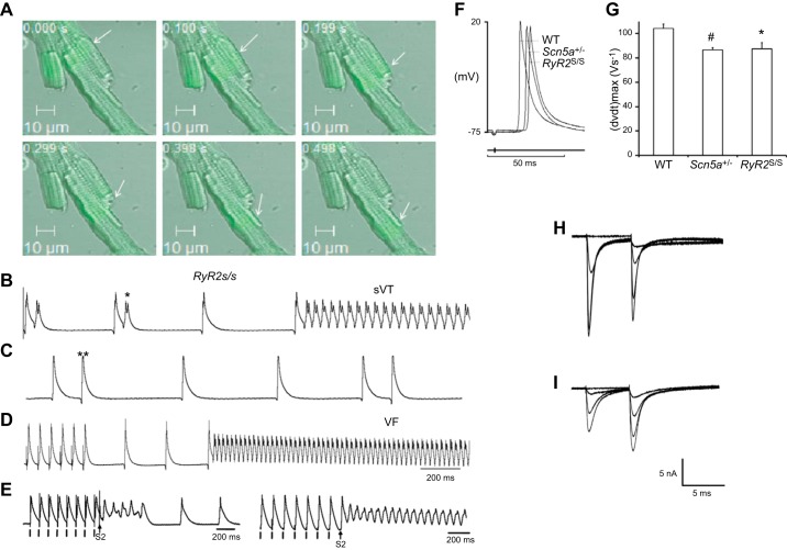 Figure 16.