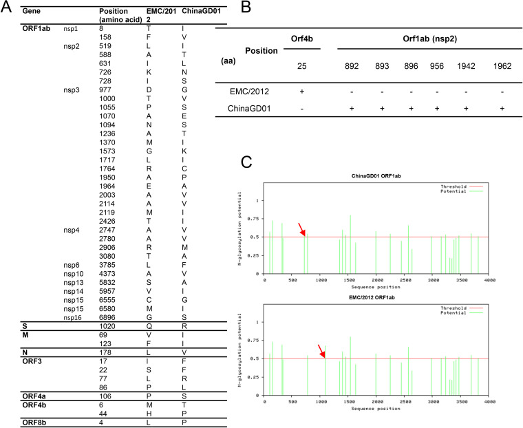 FIG 3