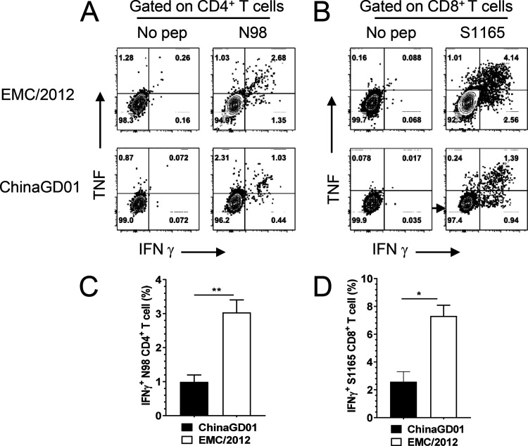 FIG 6