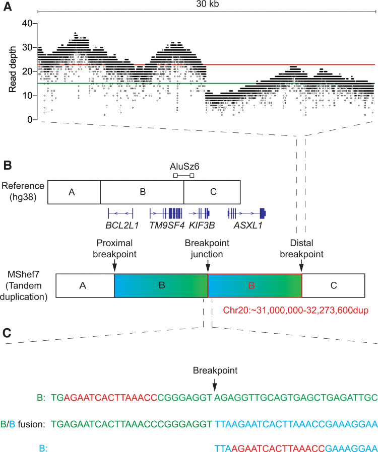 FIG. 2.