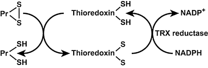 FIG. 8.