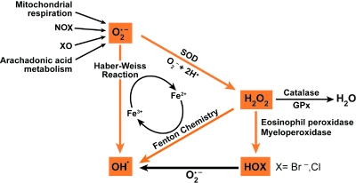 FIG. 3.