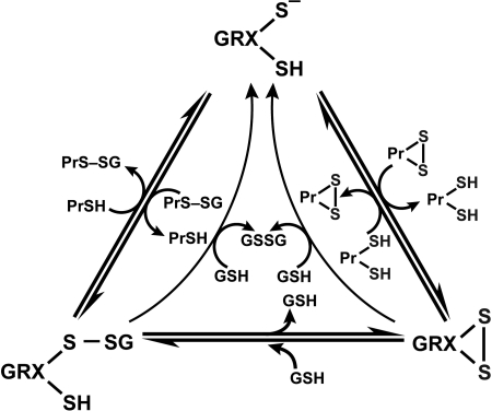 FIG. 9.