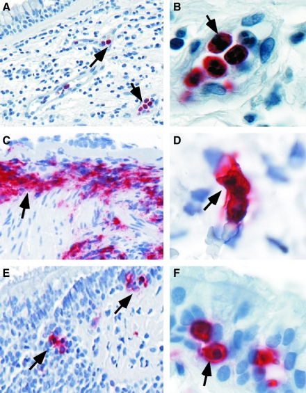 FIG. 11.