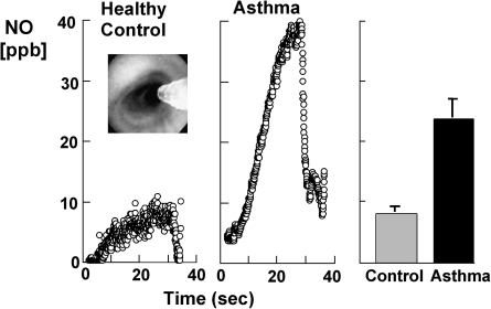 FIG. 12.