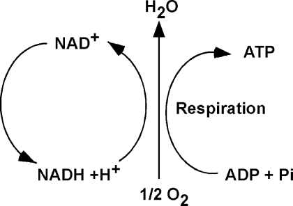 FIG. 1.