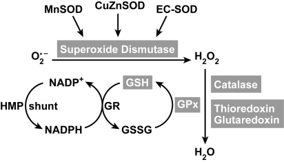 FIG. 7.