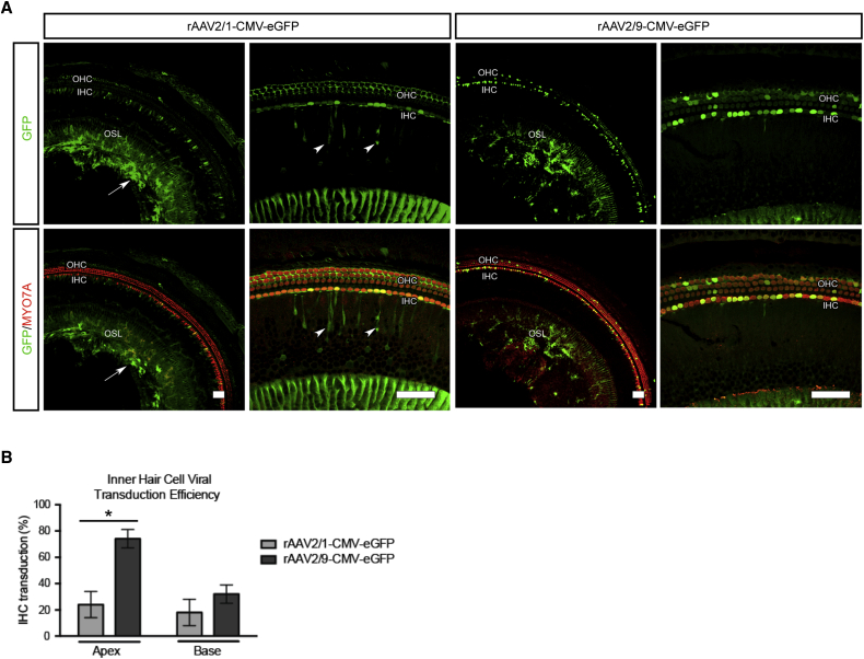 Figure 2