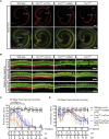 Figure 6