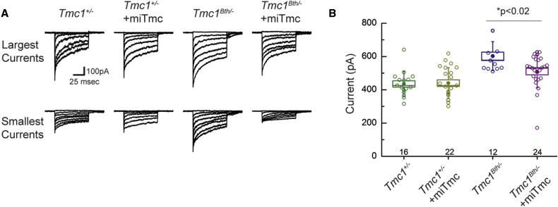 Figure 4