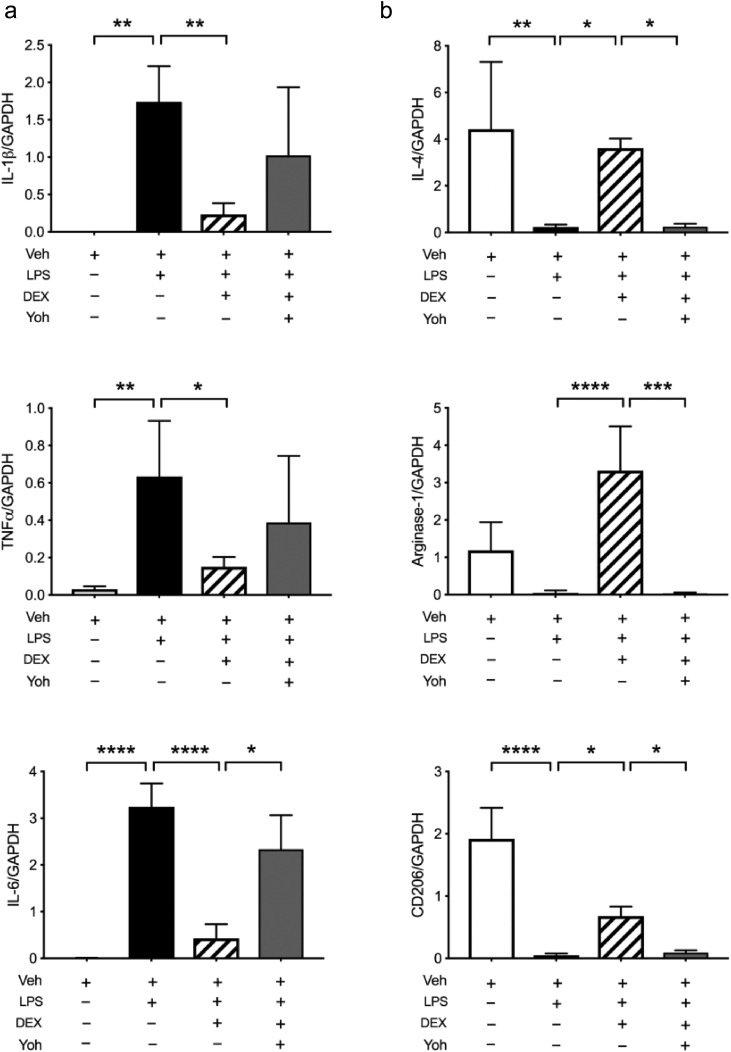 Figure 5