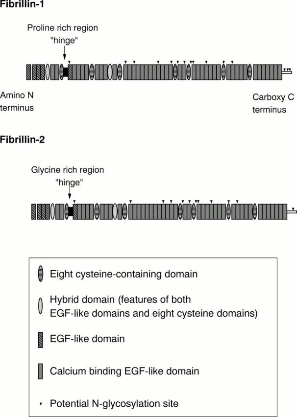 Figure 1  