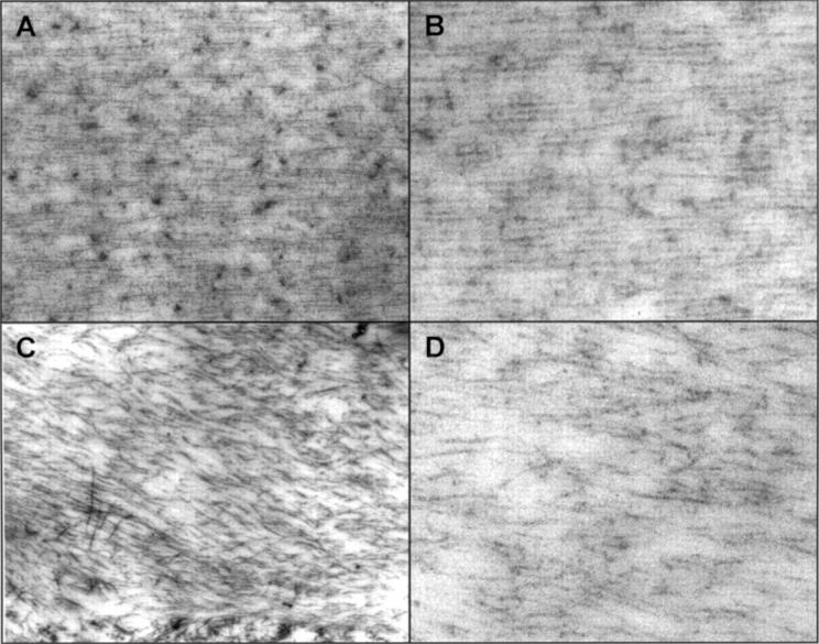 Figure 3  