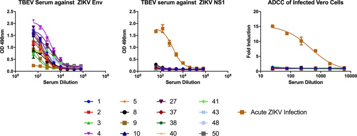 FIG 6