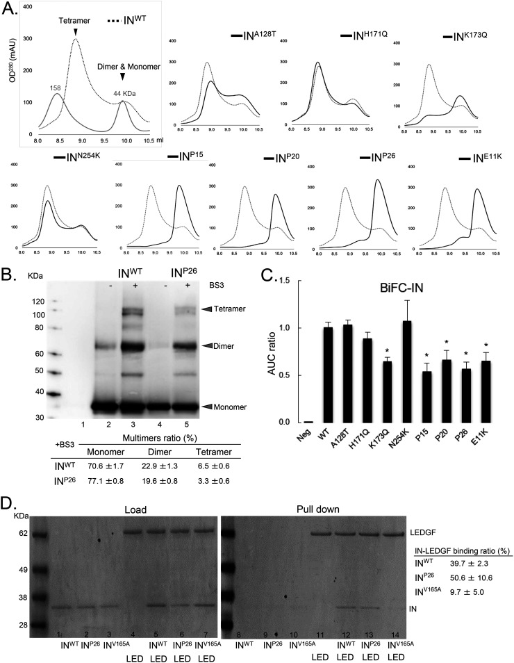 FIG 2