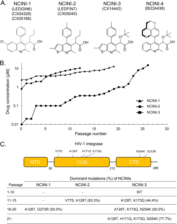 FIG 1