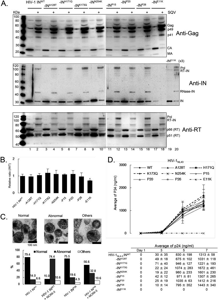 FIG 3