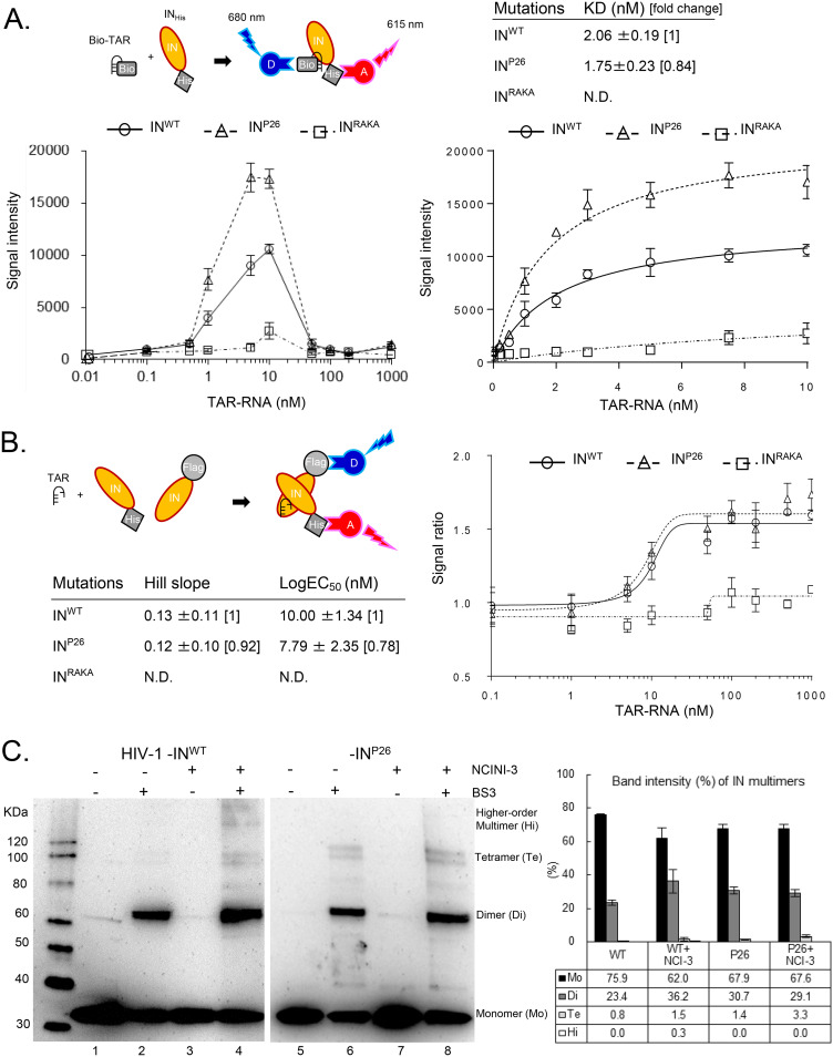 FIG 6