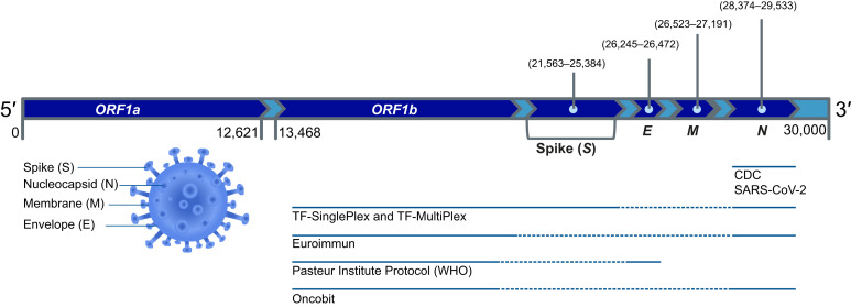 Figure 1