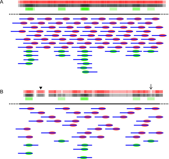 Fig 12