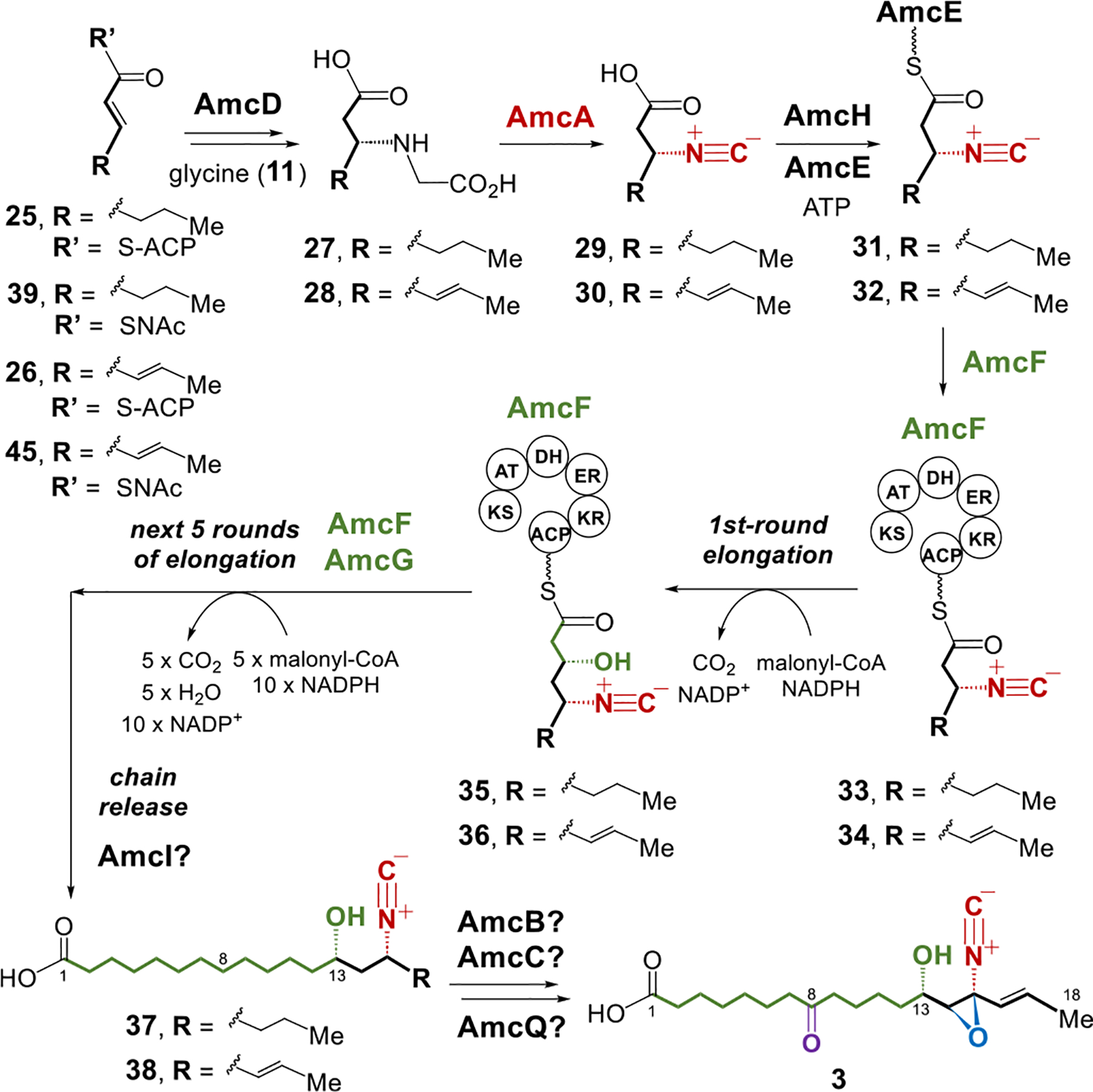 Figure 5.