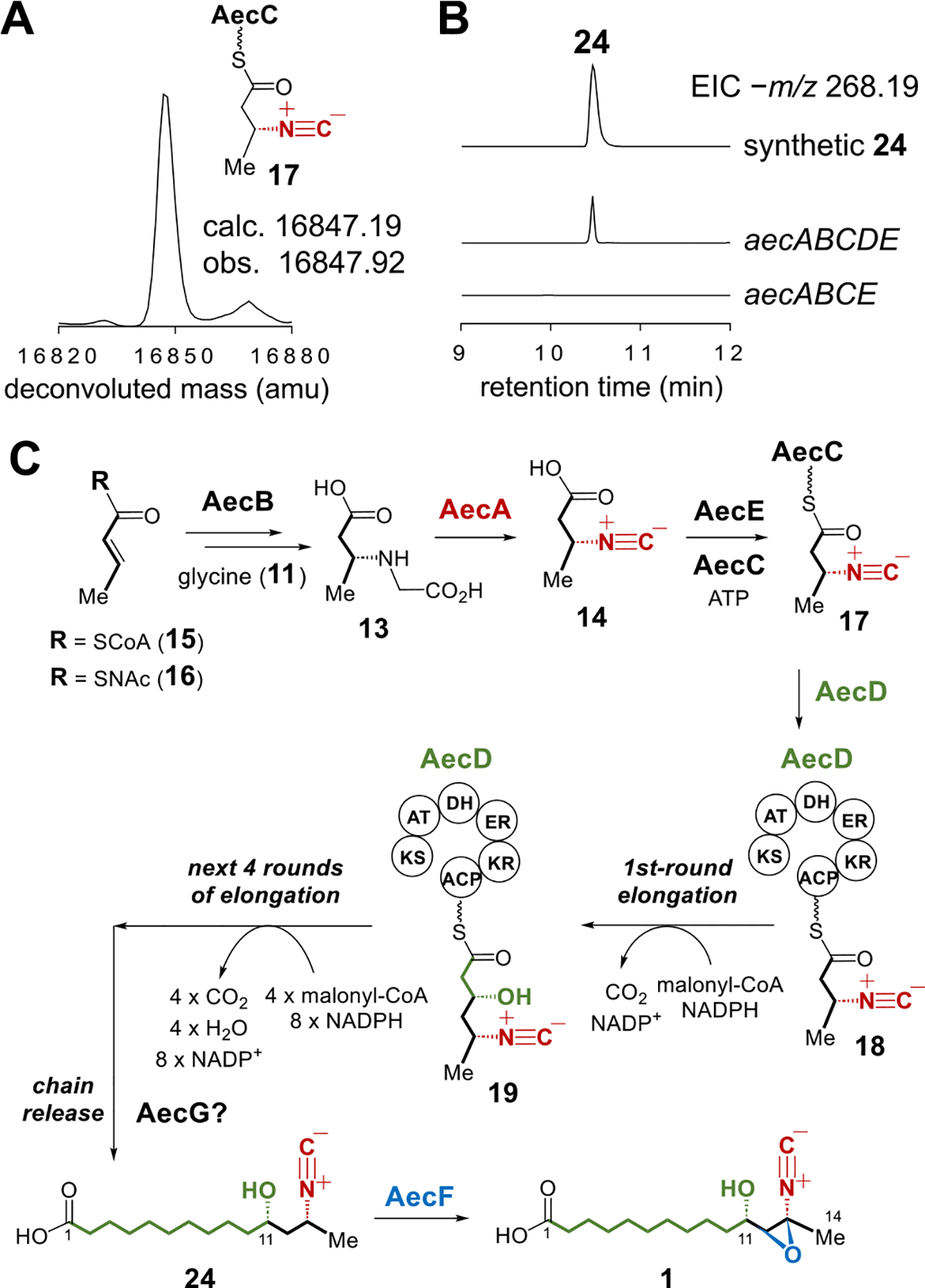 Figure 3.