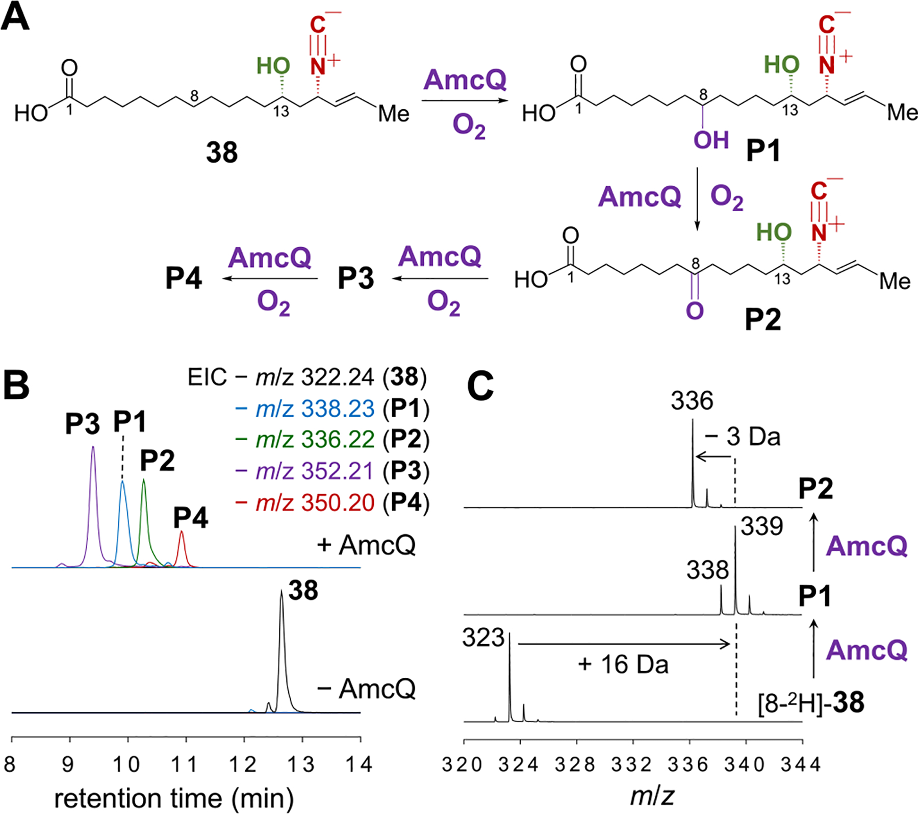 Figure 7.