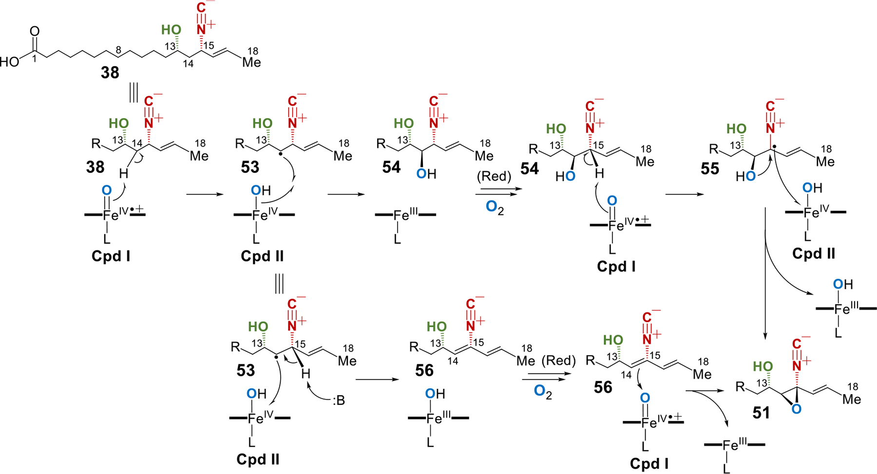 Figure 9.