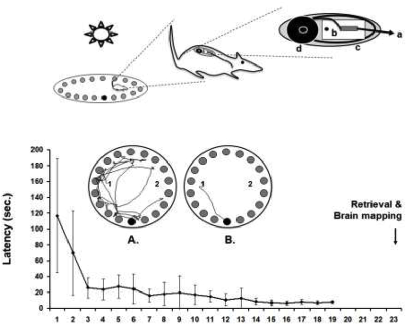 Figure 1: