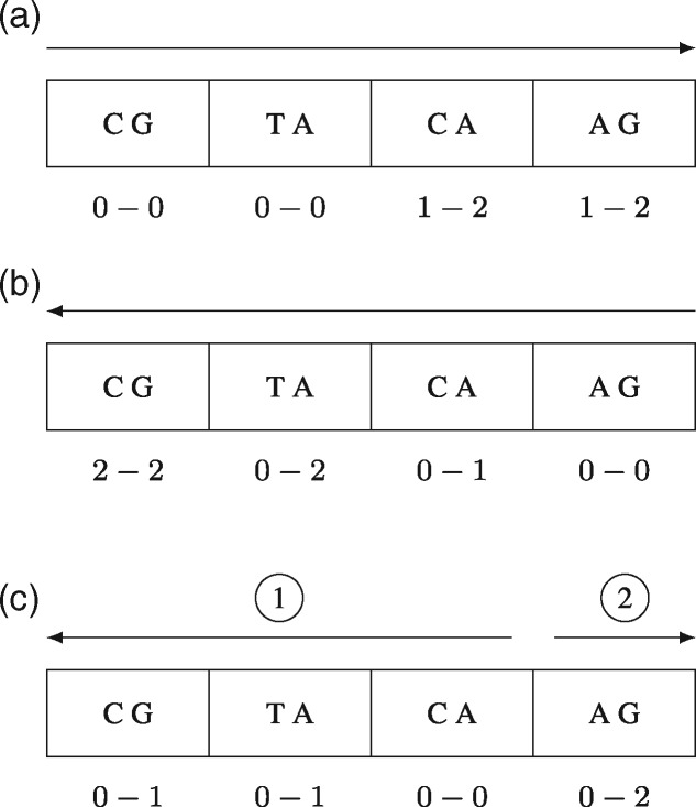 Fig. 2.