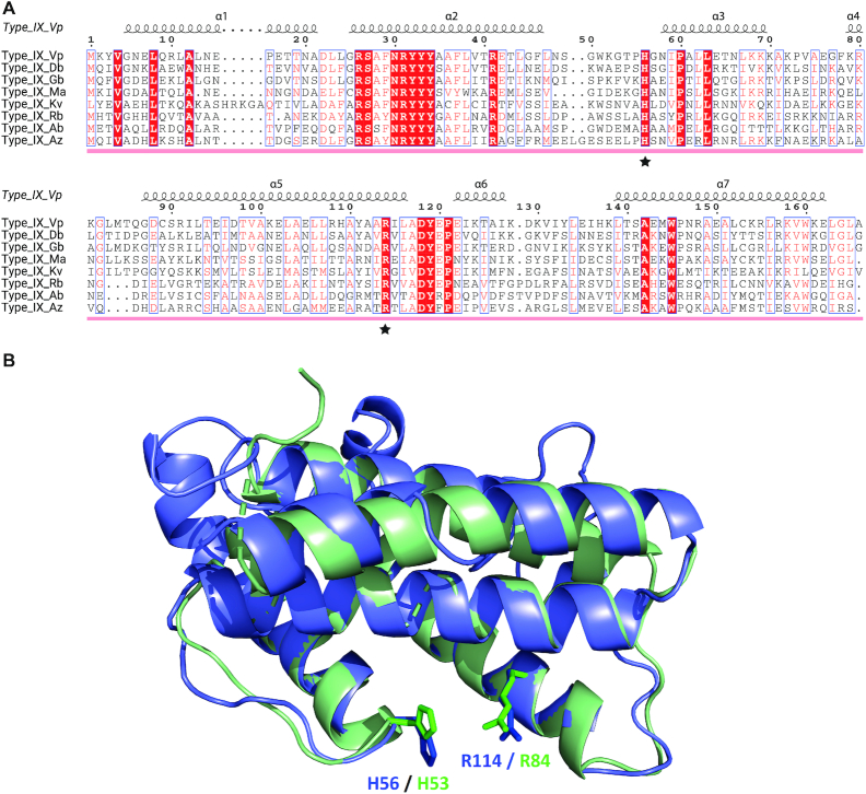 Figure 7.