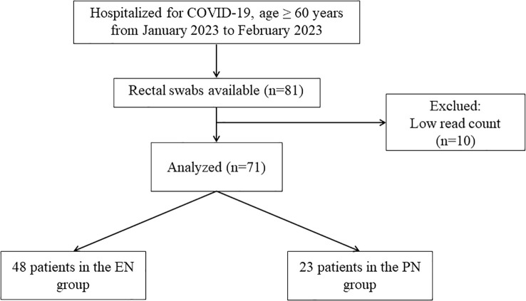 Figure 1